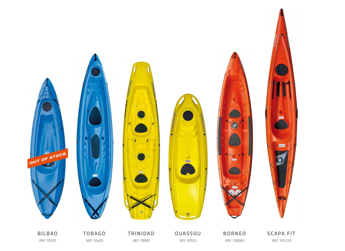 a group of people surfing